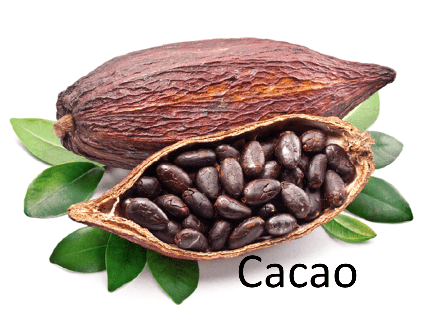 Cacao